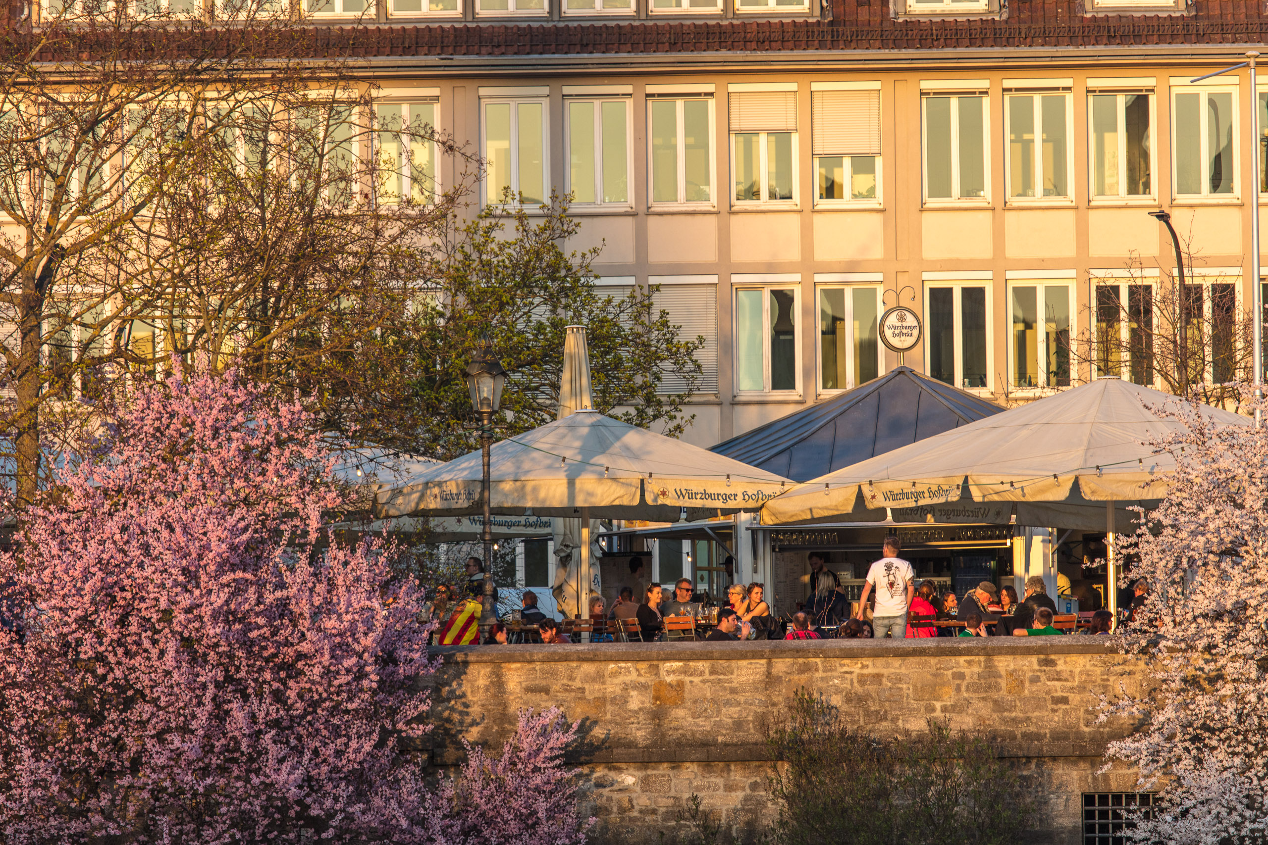 20190330181923 DP010304